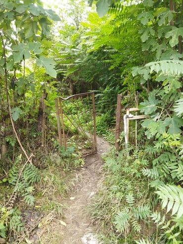 15 sot, Kənd təsərrüfatı, Mülkiyyətçi lalafo.az -da 15 sot, Kənd təsərrüfatı, Mülkiyyətçi