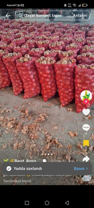 dönər əti sifarişi: Sogan kisesi 6 m — 3