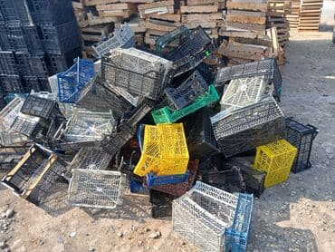 En baha qablu 1 tonu 550manat