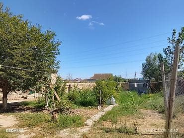xırdalanda kiraye heyet evleri 2024: Şirvan şəhəri Çılpaqlıda 4 sot torpaq sahəsi 4 otaqlı ev 2 otaqı — 4
