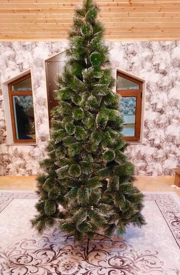 yolka ağacları: Yolka 240 sm — 1