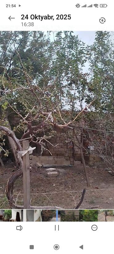 xacmazda evlər: 3 комнаты, 90 м² — 11