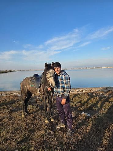 daycalar: Salam hamıya 2 yaş 7 aylıq dayça 13 defe minilib 25 27 bele gedir pula — 3