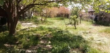 şirvanda satilan torpaqlar: 4 sot, Tikinti — 4