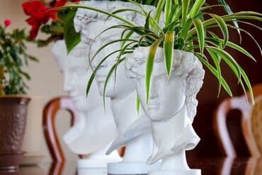 sultan darağı gülü: Klassik büst formasında dekorativ güldan - Dizayn: Renessans — 2