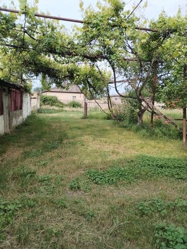 kiraye evlər: Şabran, 120 kv. m, 5 otaqlı, Hovuzsuz, Qaz, İşıq, Su — 4