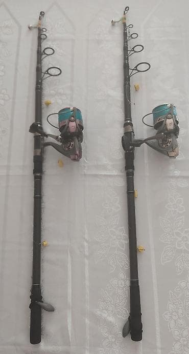 tor baliq: Universal balıqçı dəsti – 2 ədəd karbon teleskopik spininq 3.6 m 4 lb — 1