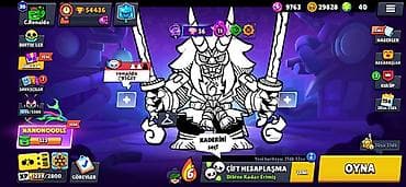 saat qız ucun: Brawl Stars hesabı – yüksək səviyyəli və dolu məzmun - Kupa yolu: 54 — 2