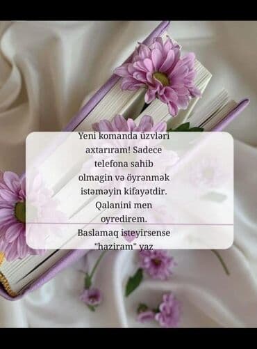 работа в салоне: Evdən çıxmadan onlayn gəlir qazanmaq üçün komanda işi təklifi — 2