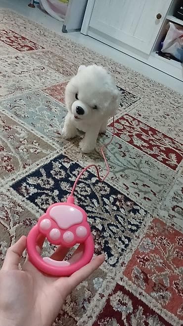 radioidarəedici robotlar: Uzaqdan idarə olunan interaktiv oyuncaq it - Yumşaq, tüklü ağ it — 2