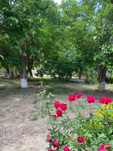 xoçəsən: 17 sot, Tikinti, Mülkiyyətçi, Bələdiyyə — 9