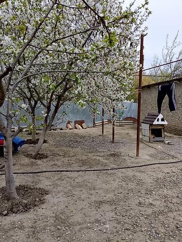 1 gunluk kiraye evler: Bərdə şəhər sənaye küçəsi tam yol kənarında. 6.5 sotda yerdən — 9