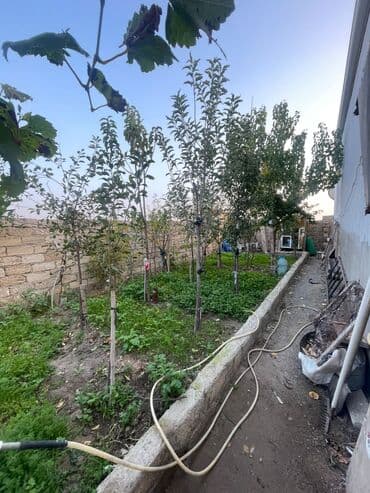 ilkin ödənişsiz evlər 2023: 3 otaqlı, 90 kv. m — 2