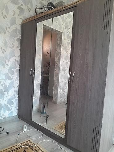 4 qapılı, Güzgülü, Boz, Digər material, Açılan, Düz dolab