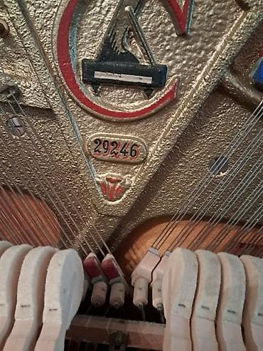 Velosiped aksesuarları: Piano, Akustik — 6