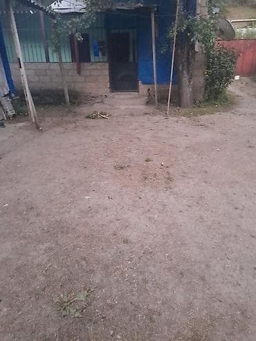 bineqedi heyet: 500 kv. m, 2 otaqlı, İşıq — 3