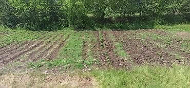 rayonlara: Qax rayonunda ili suya yaxın qaşqa kənd deyilən bir çay var,dağın — 1