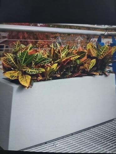 Buket güllər: Dekorativ bağ və interyer üçün modern qablama – fiberglass/kompozit — 4