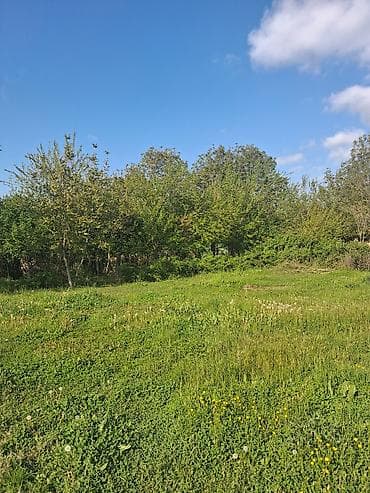 sumqayit xezer baglarinda torpaq satilir: Tikinti — 6