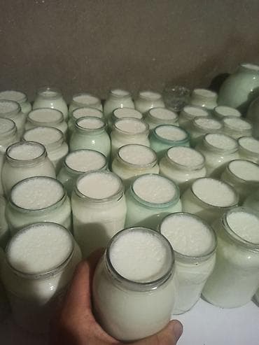 Ləpələr: 3 kq qatiq - 3.50 manat 700 qram qatiq - 1 manat Süd 1.20 manat — 2