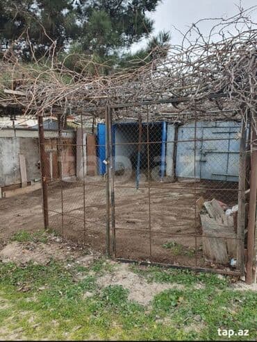 qaraj satılır: 15 kv. m, 3 * 5 * 2 Daş Kommunal xətlər qoşulmayıb — 8