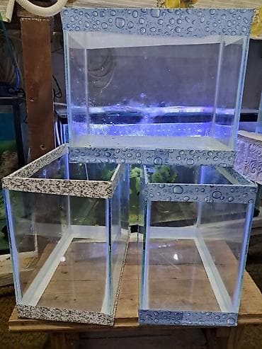 Hazır akvarumlar içinin bezeyi başı 6 eded balığı 1eded bala — 4