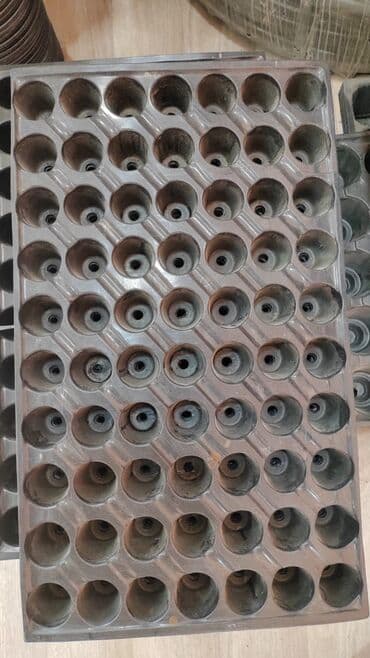 yonca toxum: Buşitil qabi
104şitilqAbi
torf250lulitrlik
torf ekolay
torf balaken — 10