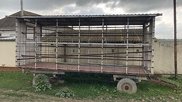 лапет: Sökülə bilən metal karkaslı, dam örtüklü qoşqu platforma - Tip: iki — 4