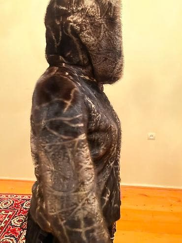 Жилеты, безрукавки: Orginal wuba 2000 azn alinib 800 azn satilir 
cox az geynilib — 4