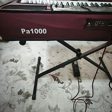 Musiqi alətləri: 8 ayın alətidir.Yalniz bir neçə banket və ev şəraitində işlənilib.Yeni — 8