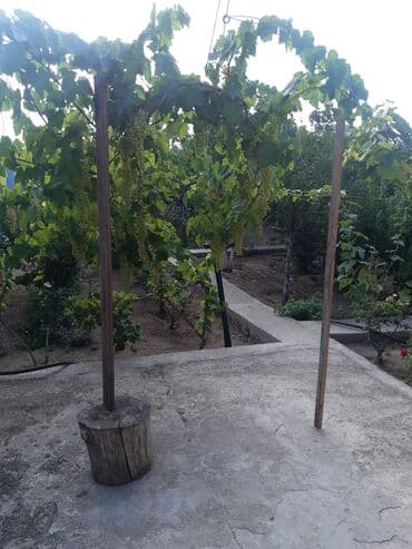 дом в ивановке: Вишневка 6 комнат, 220 м², Нет кредита, Свежий ремонт — 6