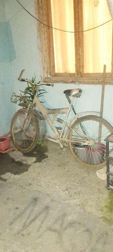 Elektrik velosipedlər: Velosiped – şəhər və yüngül off-road üçün - Gövdə: polad, aşağı — 2