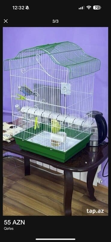 Quşlar üçün qəfəsdir yeniden ferqi yoxdu yeke qefesdir yeke