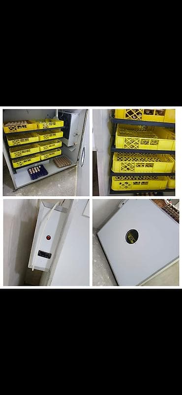 🐞İnkubator satlir 1200 yumurta tutur Tep tezedi 2 defe cixiş almişam