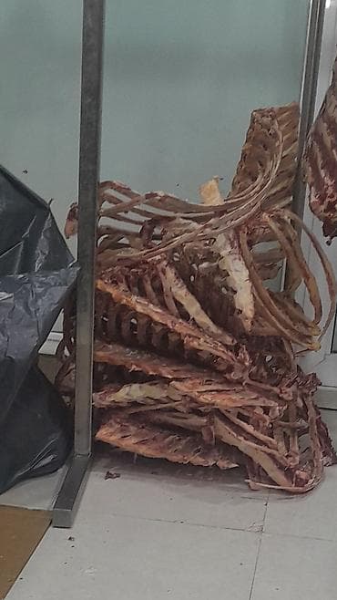 Məhsul: Sümük və qabırğa dəstləri (qoyun/iri buynuzlu heyvan lalafo.az -da Məhsul: Sümük və qabırğa dəstləri (qoyun/iri buynuzlu heyvan