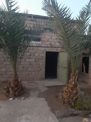 Bitkilər: Böyüklər 1500m balaca 350m — 2