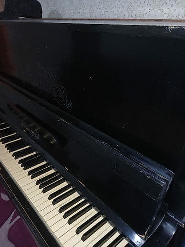 elf bar topdan satis: Pianino — 5