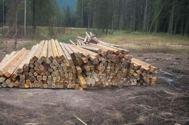 1 kub taxta nə qədərdir: *Sada* 30 kub 10/10 taxta uzunluqlari 3 metre 2metre 1 kubu 170 azn — 1