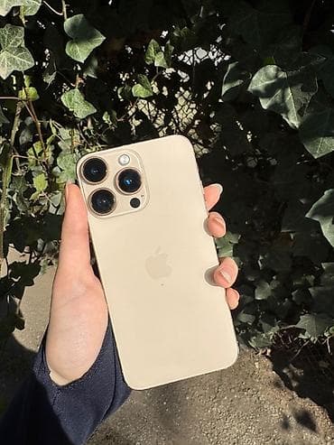Video oyunlar və konsollar: IPhone 13 Pro, Qızılı, Face ID — 2