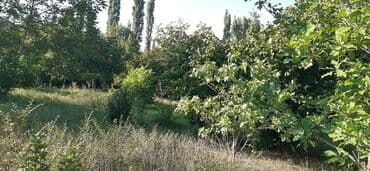 xacmazda 9 nöm mektebin yanında ev torpaq satqısı: 15 sot, Mülkiyyətçi — 1