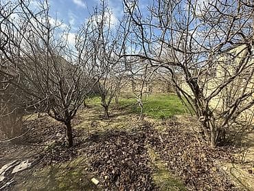 absheron: 3 sot, Tikinti, Maklerlər narahat etməsin, Kupça (Çıxarış) — 3