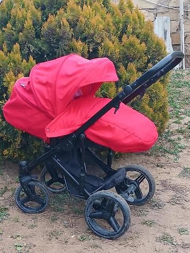 DilBebetto magnum kalyaska 100 azn tecili satilir iki hisseden