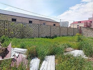 su bacok: Tikinti — 4