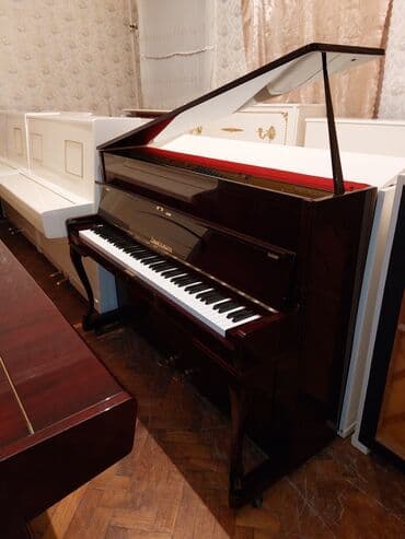 piyanina: Pianino ZİMMERMANN Almaniya istehsalı. Cadrılma və köklənmə qiymətə — 2