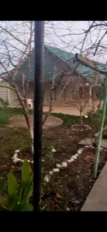 dernegulde kiraye ev: 4 otaqlı, 220 kv. m, Orta təmir — 2