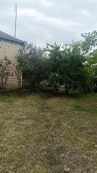 bag evlerinde: 4 otaqlı, 29 kv. m, Kredit yoxdur — 2