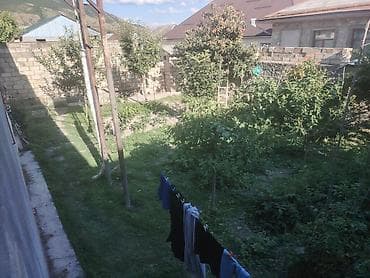 basavik satisi: Həyətyanı sahəsi olan fərdi həyət - Geniş bağ sahəsi: müxtəlif meyvə — 1