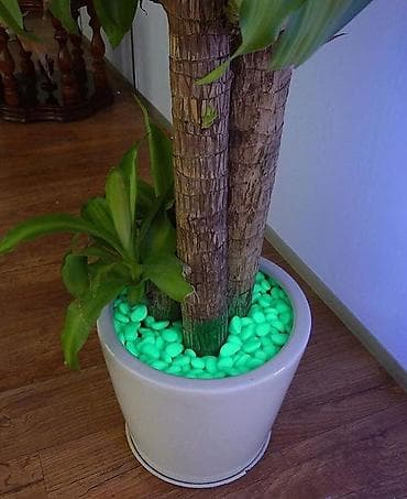 Güzgülər: ✳️Fosfor Daşlar✳️
✳️Ədədi-30 qəpik. 100 ədəd- 25 azn✳️ — 3