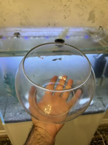 3D panellər: Yumru akvarium, Boş, 3 l — 2