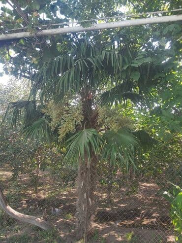 душ кабина баку: Razılaşma yolu ilə — 4